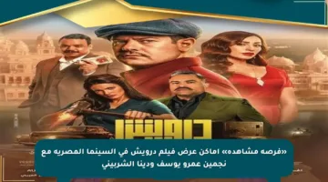 «فرصة مشاهدة» أماكن عرض فيلم درويش في السينما المصرية مع نجمين عمرو يوسف ودينا الشربيني